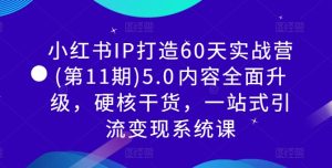 小红书IP打造60天实战营(第11期)5.0内容全面升级,硬核干货,一站式引流变现系统课-成可创学网