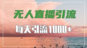 抖音快手视频号全平台通用,无人直播引流法,超暴力引流1000+高质量精准创业粉【揭秘】-成可创学网