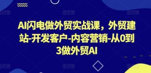 AI闪电做外贸实战课,外贸建站-开发客户-内容营销-从0到3做外贸AI(更新)-成可创学网