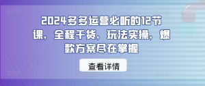 2024多多运营必听的12节课,全程干货,玩法实操,爆款方案尽在掌握-成可创学网