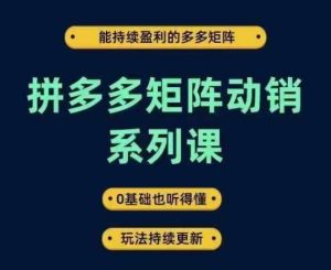 拼多多矩阵动销系列课,能持续盈利的多多矩阵,0基础也听得懂,玩法持续更新-成可创学网