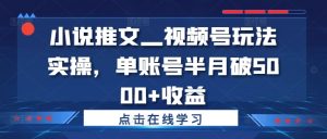 小说推文—视频号玩法实操,单账号半月破5000+收益-成可创学网