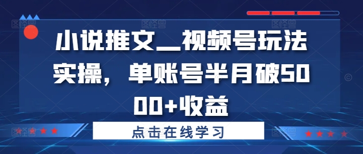 小说推文—视频号玩法实操，单账号半月破5000+收益-成可创学网