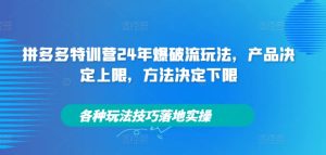 拼多多特训营24年爆破流玩法,产品决定上限,方法决定下限,各种玩法技巧落地实操-成可创学网