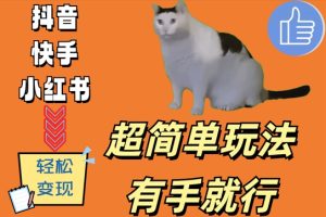 超简单玩法，有手就行，靠猫咪视频日入500+【揭秘】-成可创学网