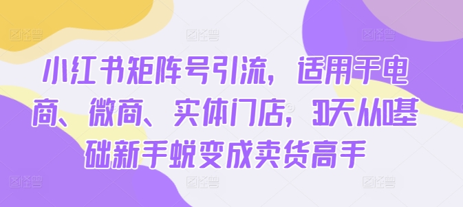 小红书矩阵号引流，适用于电商、微商、实体门店，30天从0基础新手蜕变成卖货高手-成可创学网