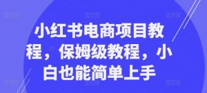 小红书电商项目教程,保姆级教程,小白也能简单上手-成可创学网