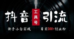 2024最新抖音工具号引流玩法,高效日引300+创业粉,当天变现5k,小白也可成为实战高手-成可创学网