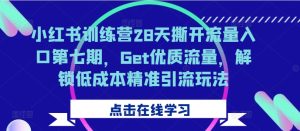 小红书训练营28天撕开流量入口第七期,Get优质流量,解锁低成本精准引流玩法-成可创学网