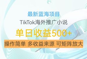 最新蓝海项目,利用tiktok海外推广小说赚钱佣金,简单易学,日入500+,可矩阵放大【揭秘】-成可创学网