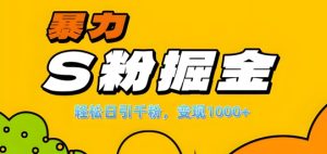 单人单机日引千粉,变现1k+,S粉流量掘金计划攻略【揭秘】-成可创学网