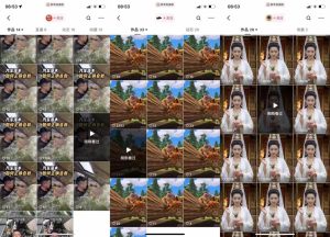 狗熊岭快手连怼技术,好物,涨粉都可以连怼-成可创学网