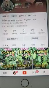 最新抖音暴力起万粉技术,一天涨万粉,发三四个作品涨近万粉-成可创学网