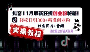 抖音11月最新狂揽创业粉秘籍，轻松日引300+精准创业粉，仅需图片+音频，轻松搞定创业类视频-成可创学网