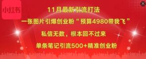 小红书11月最新图片打粉,一张图片引爆创业粉,“预算4980带我飞”,单条引流500+精准创业粉-成可创学网