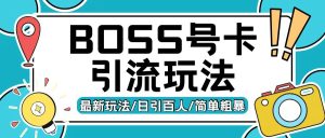 Boss直聘流量卡引流变现玩法，日引200+创业粉【揭秘】-成可创学网
