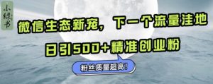 微信生态新宠小绿书：下一个流量洼地，日引500+精准创业粉，粉丝质量超高-成可创学网