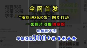 小红书“预算4980带我飞”图片打法，一张图片引爆创业粉，私信回不完，单条引流300+精准创业粉-成可创学网