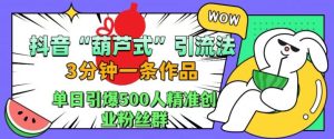 抖音葫芦式引流法,三分钟一条作品,单日引爆抖音500人精准创业粉丝群【揭秘】-成可创学网