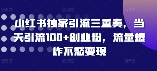 小红书独家引流三重奏，当天引流100+创业粉，流量爆炸不愁变现【揭秘】-成可创学网