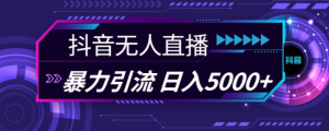 抖音快手视频号全平台通用无人直播引流法，利用图片模板和语音话术，暴力日引流100+创业粉【揭秘】-成可创学网