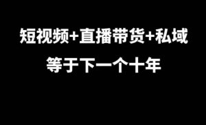 短视频+直播带货+私域等于下一个十年,大佬7年实战经验总结-成可创学网