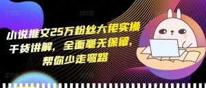 小说推文25万粉丝大佬实操干货讲解，全面毫无保留，帮你少走弯路-成可创学网