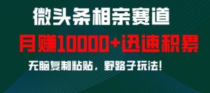 微头条相亲赛道，迅速积累，无脑复制粘贴，野路子玩法，月入1w-成可创学网