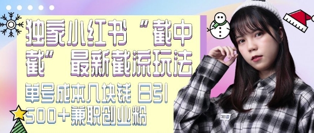 最新小红书截流玩法 独家截中截 单号成本几块钱 日引500+CY粉JZ粉-成可创学网