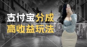 支付宝分成计划新玩法,利用交通事故视频,赚收益,轻松月入过W,操作简单【揭秘】-成可创学网