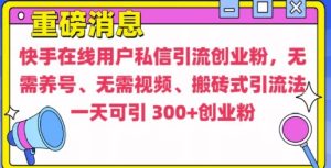 快手最新引流创业粉方法,无需养号、无需视频、搬砖式引流法【揭秘】-成可创学网