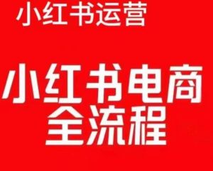 红薯电商实操课,小红书电商全流程-成可创学网
