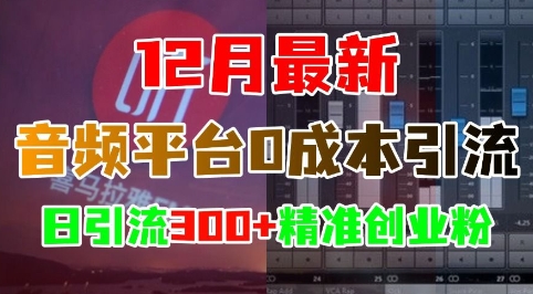 12月最新：音频平台0成本引流，日引流300+精准创业粉-成可创学网