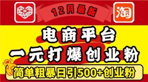 12月最新:电商平台1元打爆创业粉,简单粗暴日引500+精准创业粉,轻松月入过W【揭秘】-成可创学网