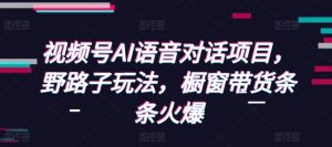 视频号AI语音对话项目，野路子玩法，橱窗带货条条火爆-成可创学网