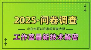 2025问卷调查最新工作室技术解密：一个人在家也可以闷声发大财，小白一天2张，可矩阵放大【揭秘】-成可创学网