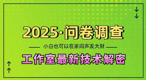 2025问卷调查最新工作室技术解密：一个人在家也可以闷声发大财，小白一天2张，可矩阵放大【揭秘】-成可创学网