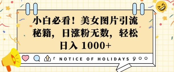 小白必看，美女图片引流秘籍，日涨粉无数，轻松日入几张【揭秘】-成可创学网