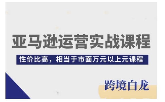 亚马逊运营实战课程，亚马逊从入门到精通，性价比高，相当于市面万元以上元课程-成可创学网
