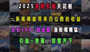 2025自热引流天花板，一条视频能带来四位数的收益，引流+变现双管齐下，日引500+创业粉，涨粉嘎嘎猛-成可创学网