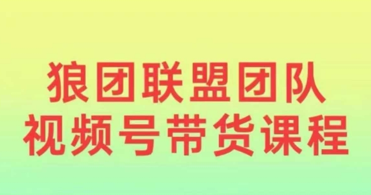 狼团联盟2024视频号带货，0基础小白快速入局视频号-成可创学网