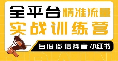全平台精准流量实战训练营，百度微信抖音小红书SEO引流教程-成可创学网