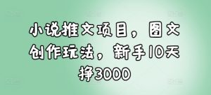 小说推文项目，图文创作玩法，新手10天挣3000-成可创学网