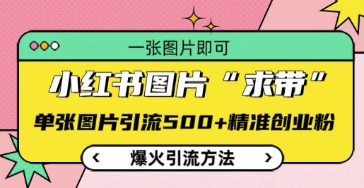 小红书图片‘求带’爆火引流法，单张图片引流500+精准创业粉【揭秘】-成可创学网