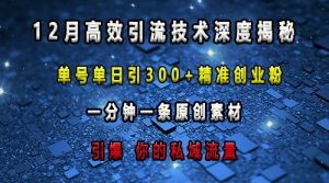 最新高效引流技术深度揭秘 ，单号单日引300+精准创业粉，一分钟一条原创素材，引爆你的私域流量-成可创学网