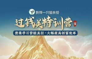 剽悍一只猫-过钱关特训营，学习营销真经 大幅度提高创富效率-成可创学网