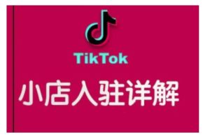 TikTok跨境小店运营全攻略,帮助你独立运营TK跨境小店的能力,实现销量增长-成可创学网