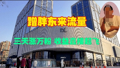 蹭胖东来流量，三天涨万粉，收益直接起飞-成可创学网