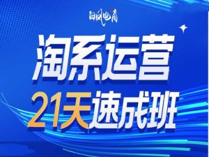 淘系运营21天速成班35期,年前最后一波和2025方向-成可创学网