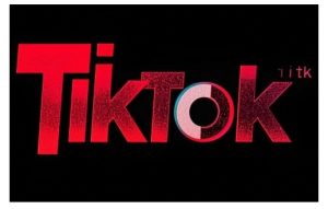 TikTok ads投流秘籍,涵盖tiktok整体投放思路,教你搭建测试计划-成可创学网